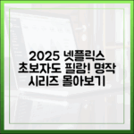 2025 넷플릭스: 초보자도 몰아볼 명작 시리즈