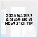 2025 독감 예방: 최적 접종 시기 3가지!
