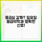 응급실행, 일요일 응급의학과가 짚는 명확한 신호