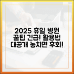 2025 휴일 병원 리스트: 보건의료 전문가의 충격 활용법!