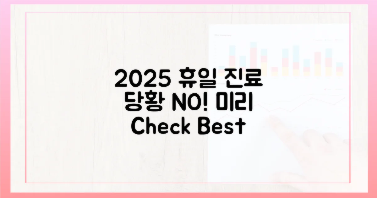 2025년 휴일 진료 대비