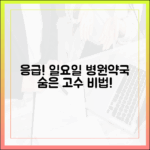 응급! 일요일 병원·약국 검색, 전문가의 충격 비법