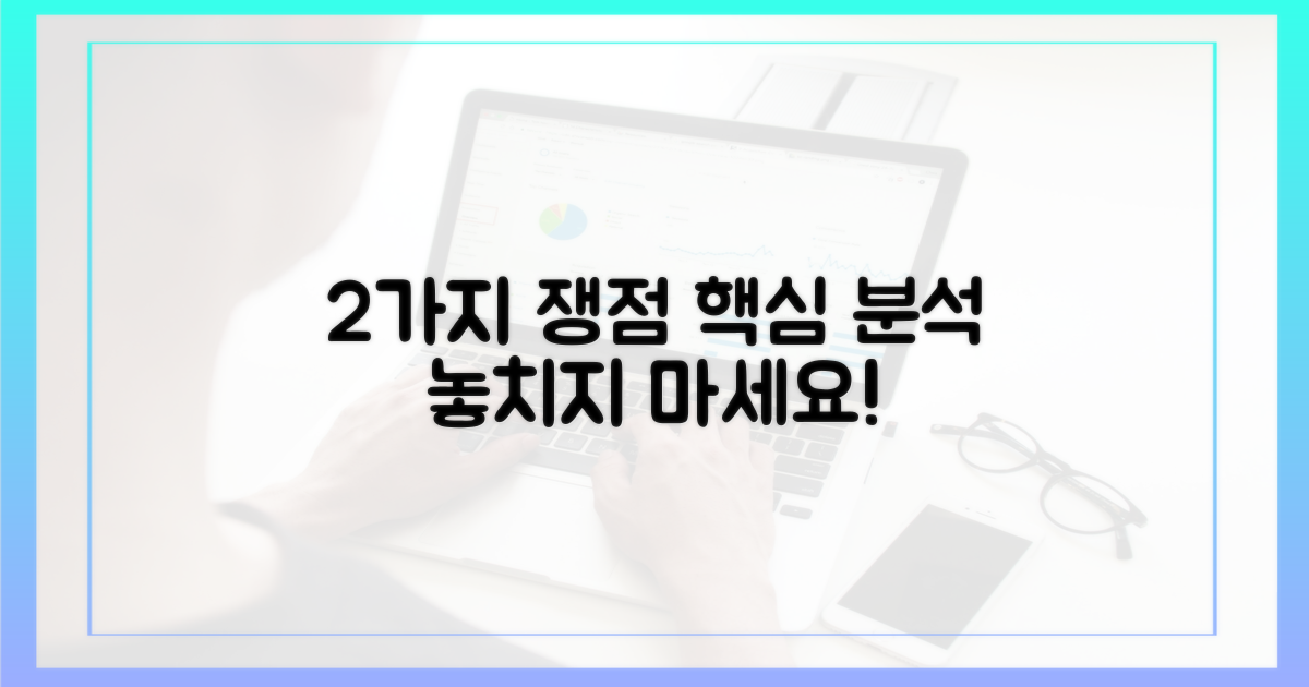 2가지 쟁점 분석