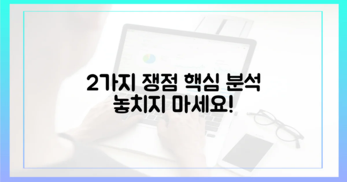 2가지 쟁점 분석