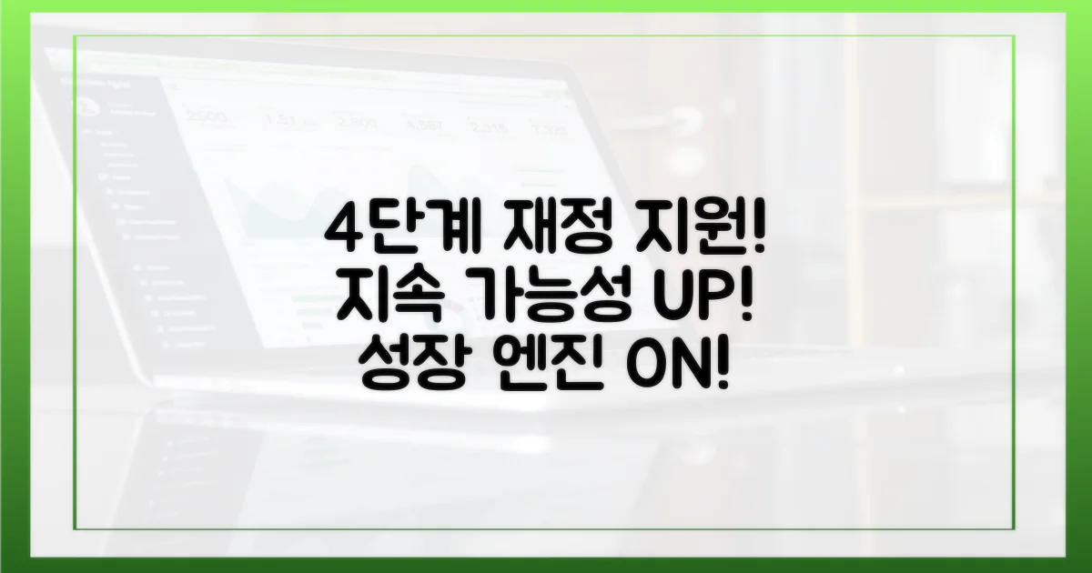 4단계 재정 지원, 지속 가능성 확보