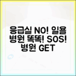 응급실 NO! 놀라운 일요일 병원, 똑똑하게 가기