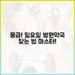 일요일 응급! 병원·약국 찾는 법 마스터하기