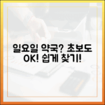 일요일 약국 찾기, 초보자도 끝!