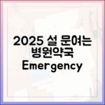 2025 명절 연휴, 놀라운 곳은? 문 여는 병원/약국 필독!