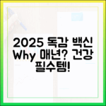 2025년 독감 예방! 왜 매년 맞아야 할까?