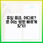 휴일 병원 응급 가이드: 문 여는 곳 확인법