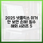 2025 넷플릭스: 놓치면 후회할 5대 해외 시리즈