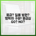 응급실 가기 전, 일요일 진료 병원 vs 응급실 완벽 구분