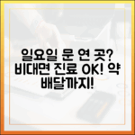 급한데 문 연 곳 없다고? 일요일 비대면 진료 & 약 배달!