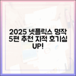 2025 넷플릭스 추천: 지적 호기심 채울 명작 5편