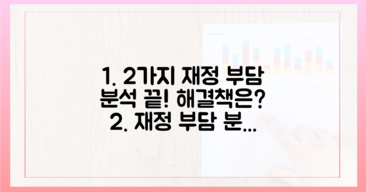 2가지 재정 부담 분석