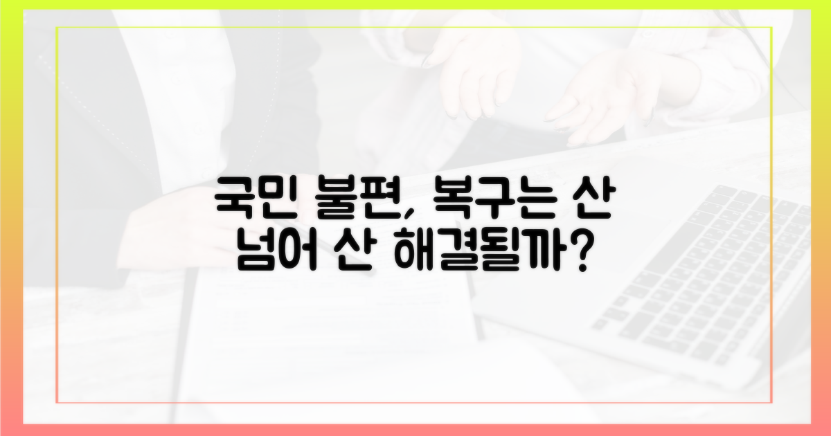 국민 불편 초래, 복구 과제