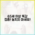 65세 이상 어르신 독감 예방접종, 일정 놓치지 않을 수 있을까요?