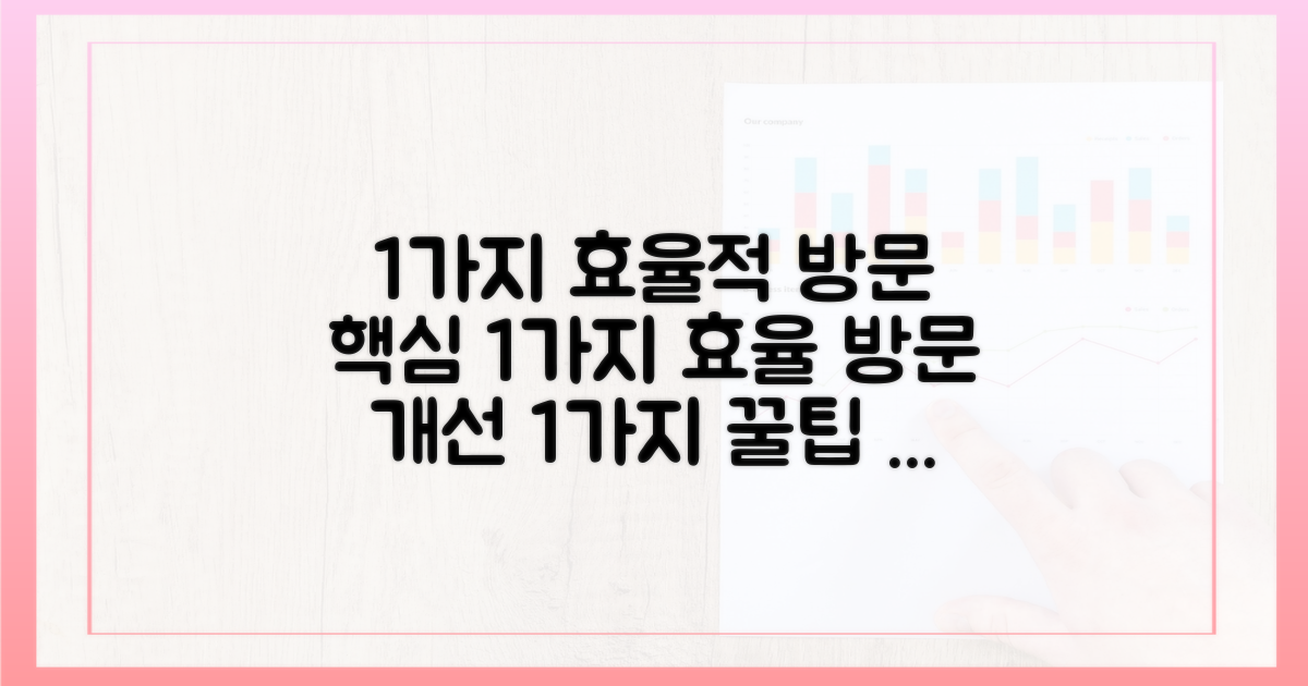 1가지 효율적 방문