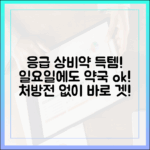 놀라운 일요일 약국, 처방전 없이 응급 상비약 득템!