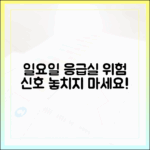 일요일 응급실, 전문의가 알려주는 위험 신호 완벽 가이드