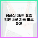 휴일 진료 병원 5곳, 응급실 대신!