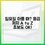 일요일 아플 때, 초보도 쉽게! 휴일 병원 약국 A to Z