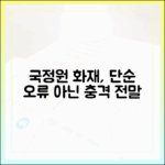 단순 접속 오류가 아닙니다, 국가정보자원관리원 화재의 전말