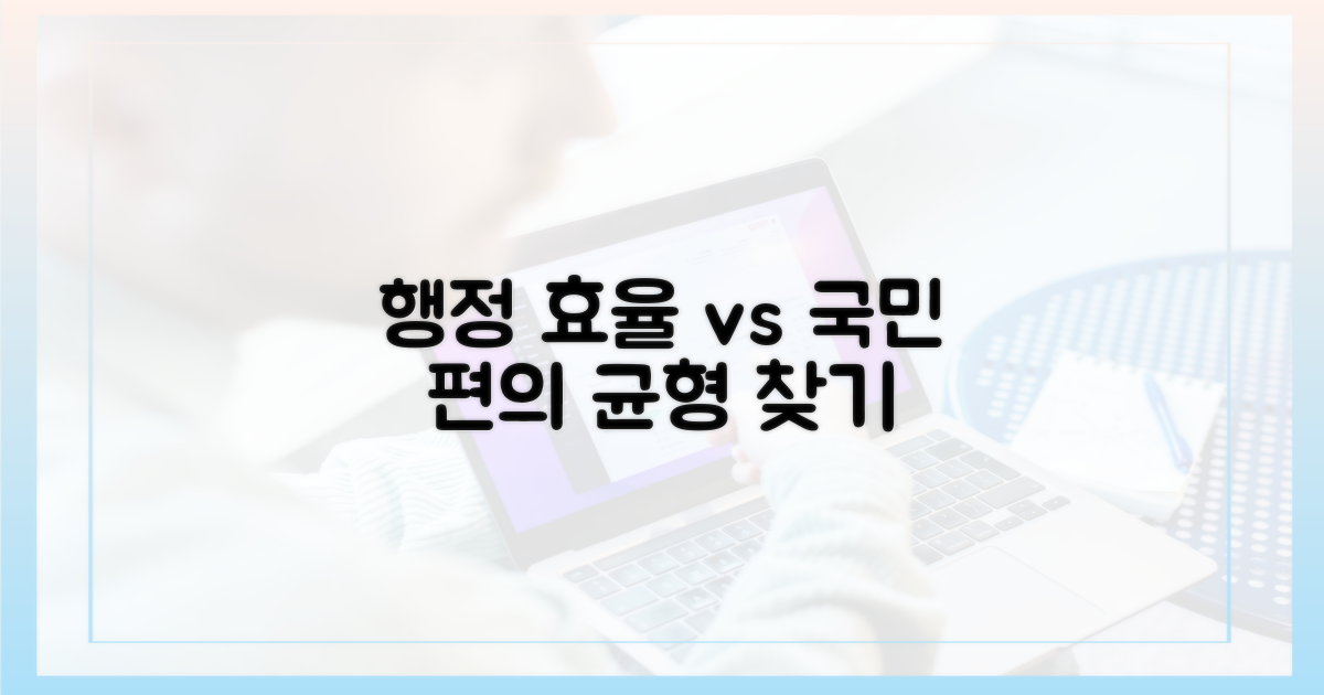 행정 효율 vs 국민 편의