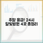 주말 아플 때! 24시 달빛병원 4곳 총정리