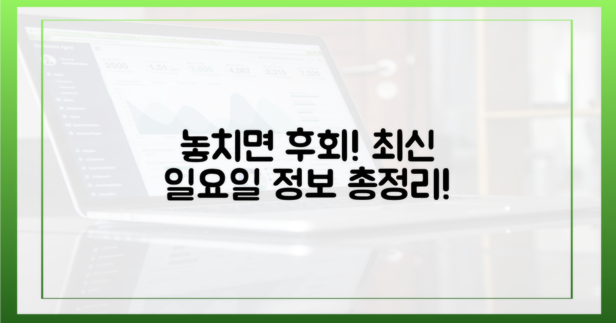 놓치면 후회! 최신 일요일 정보 총정리!