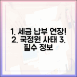 세금 납부 연장, 서류 제출 기한 연기! 국가정보자원관리원 사태 필독 정보