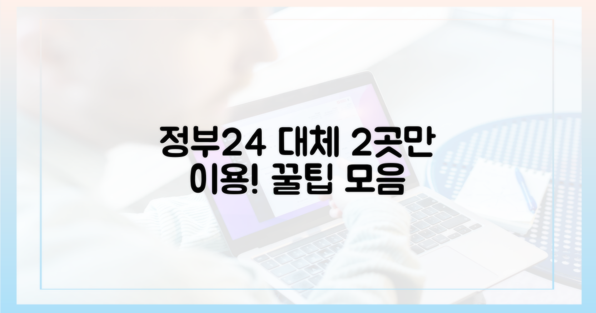 2가지 정부24 대체 사이트