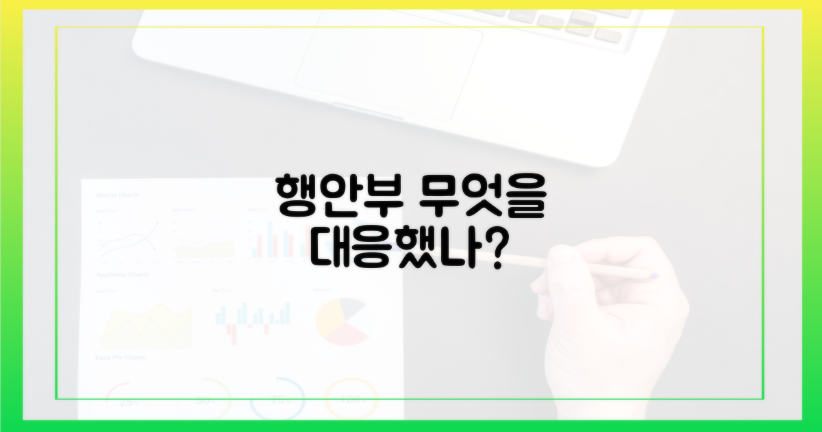 행안부, 무엇을 대응했나?