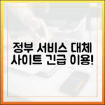 대체 사이트 총정리: 국가정보자원관리원 장애 중 이용 가능한 정부 서비스