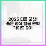 2025 디플 오리지널: 숨은 꿀잼 발굴 완벽 가이드