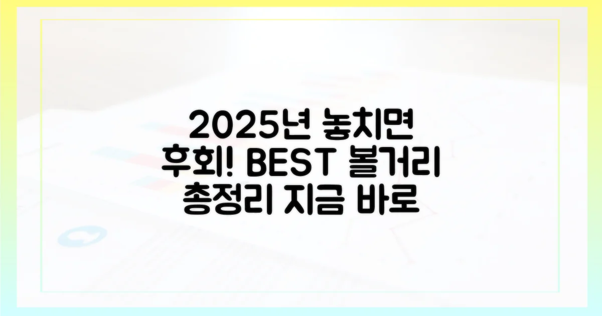 2025년 볼거리 총정리