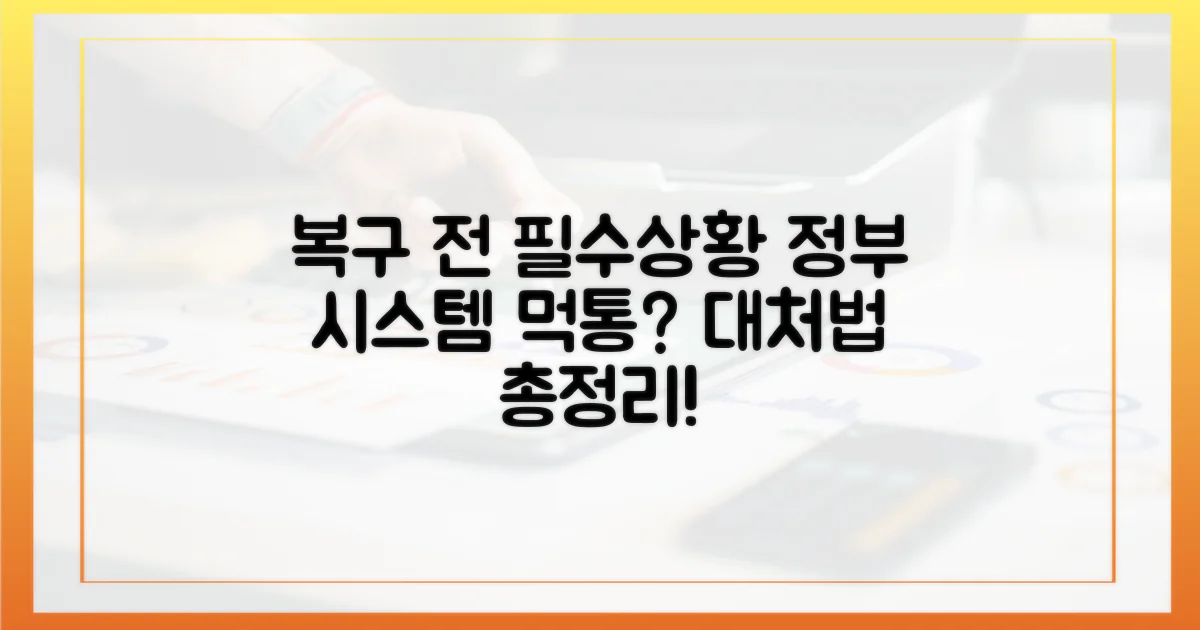 정부 시스템 복구 전, 어떻게 해야 하나?