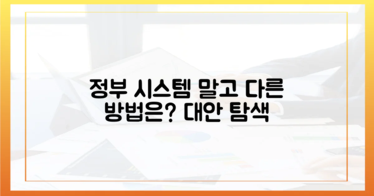 정부 시스템 외 다른 방법은?