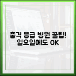 충격] 낯선 곳, 일요일 병원 찾는 놀라운 비법
