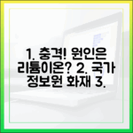 리튬이온 배터리가 원인? 행정 전문가가 분석하는 국가정보자원관리원 화재 사태