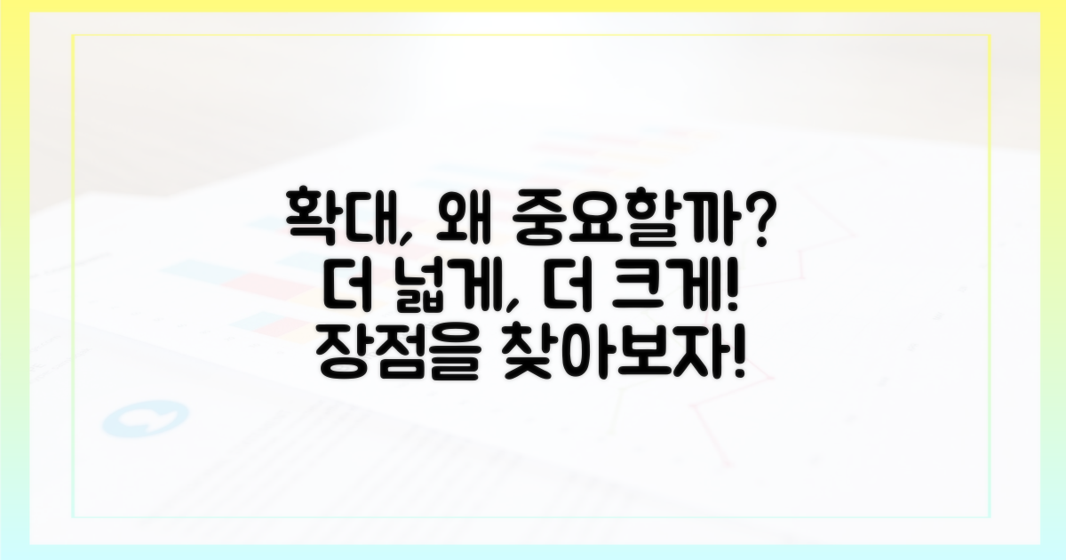 확대 시 장점은 무엇인가?