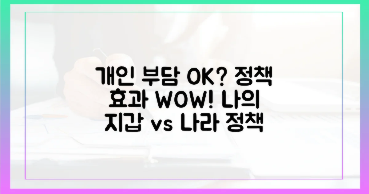 개인 부담 vs 정책 효과