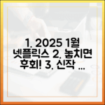 초보도 정주행! 2025년 1월 넷플릭스 신작 분석