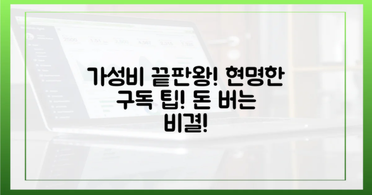 가성비 끝판왕! 현명한 구독 팁은?