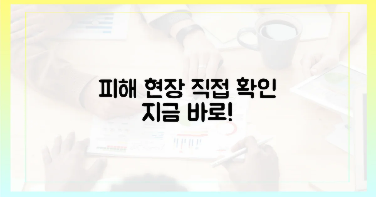 피해 상황, 직접 살펴보세요!