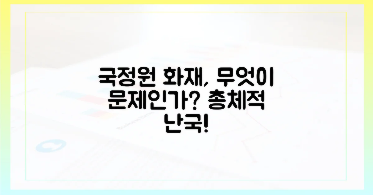 국가정보자원관리원 화재, 무엇이 문제인가