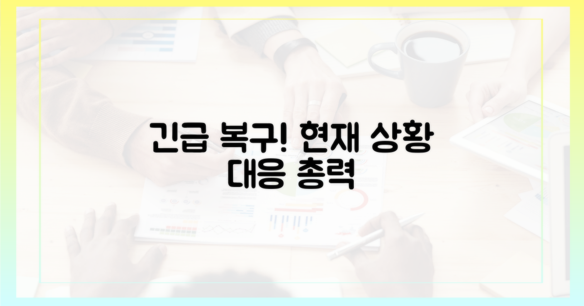 긴급 복구 및 현재 상황
