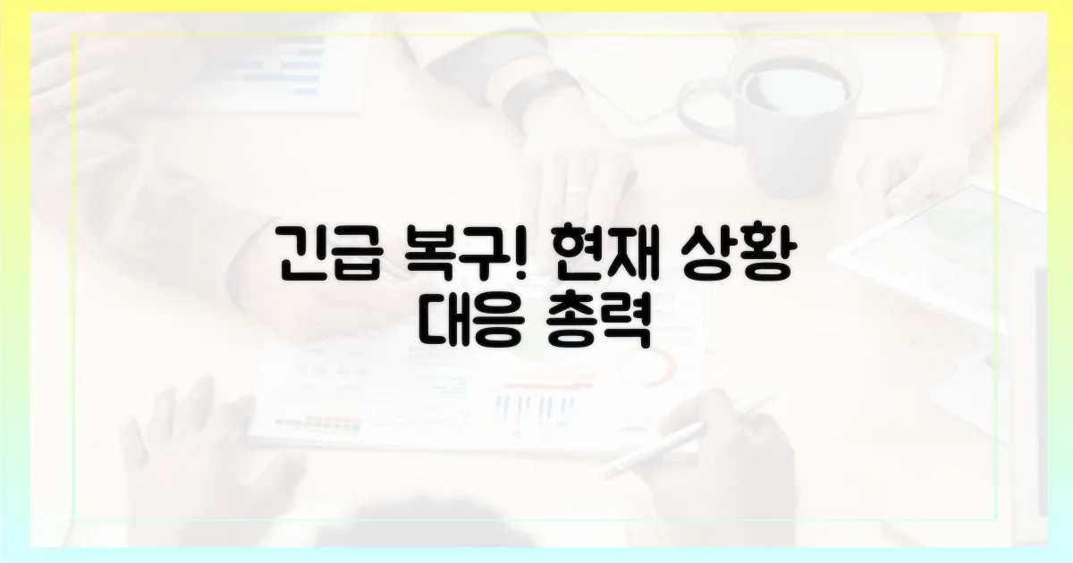 긴급 복구 및 현재 상황
