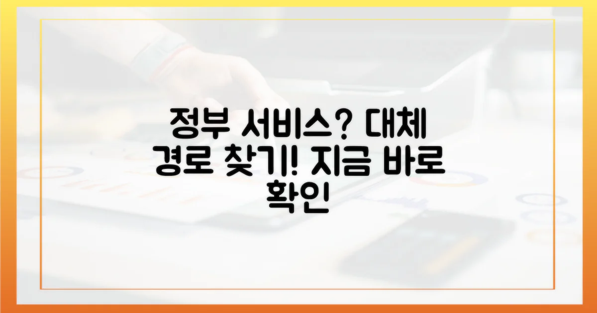 정부 서비스, 대체 경로는?